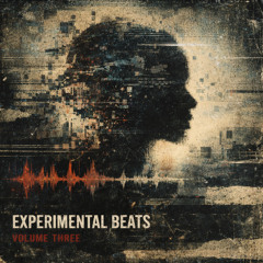 EXPERIMENTAL BEAT THREE