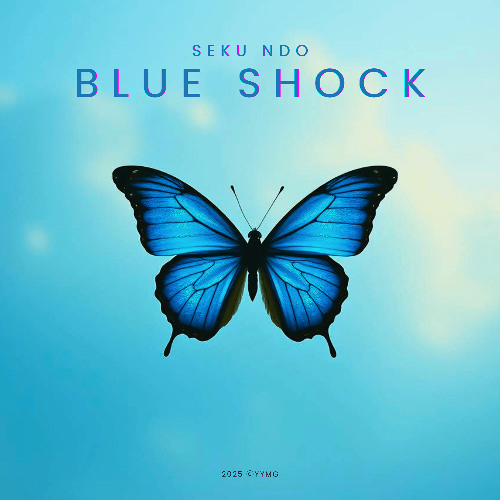 Blue Shock - VIP Mix