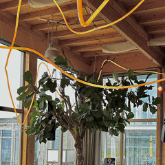 Sonn ten (live) - Yellow House X Atrium - 14/07/23