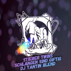 Stieber Twins - Schlangen Sind Giftig - Quiet Storm Beat ( Dj Tantin Blend )