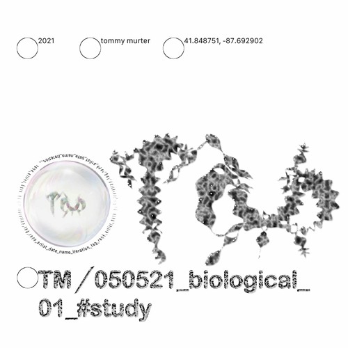 ◦TM╱050521_biological_01_#study