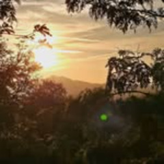 Washing Machine Heart Cover