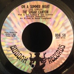 The Sugar Canyon - On A Summer Night