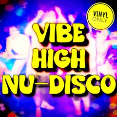 Vibe High: Nu Disco Vinyl Mix