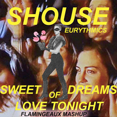 Shouse David Guetta & James Hype - Sweet Dreams of Love Tonight (Flamingeaux  Mashup)