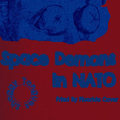 Space Demons in NATO (Fried by Fluoride cover)