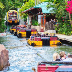 Best Things To Do In Orlando Florida Besides Disney Tours Reviews