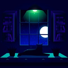 Lo-Fi Night