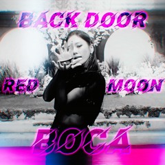 STRAY KIDS, DREAMCATCHER, KARD - BACK DOOR X BOCA X RED MOON [MASHUP]