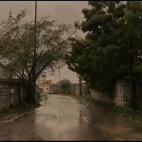 يا راحلين عن الحياة || محمد السعيد