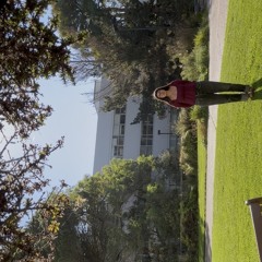 Other timelines a rough draft like me