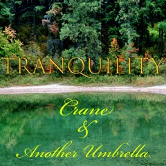 Tranquility (Space Prog Rock Instrumental)