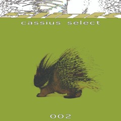 SLINK MIX 002 - Cassius Select