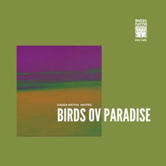 Danza Nativa Invites 05 - Birds Ov Paradise (LIVE)