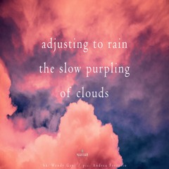 halF purpleD [naviarhaiku458]