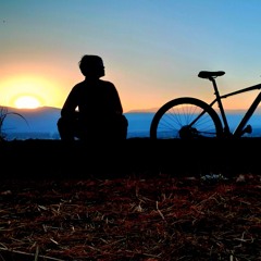 Evolution Bike