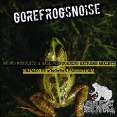 Anomaloglossus Beebei (FT Hallucinogenics Extreme Anxiety x mucus monolith)(xGxOxRxE PRODUCTIONS)