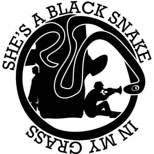 She’s a black snake in my grass