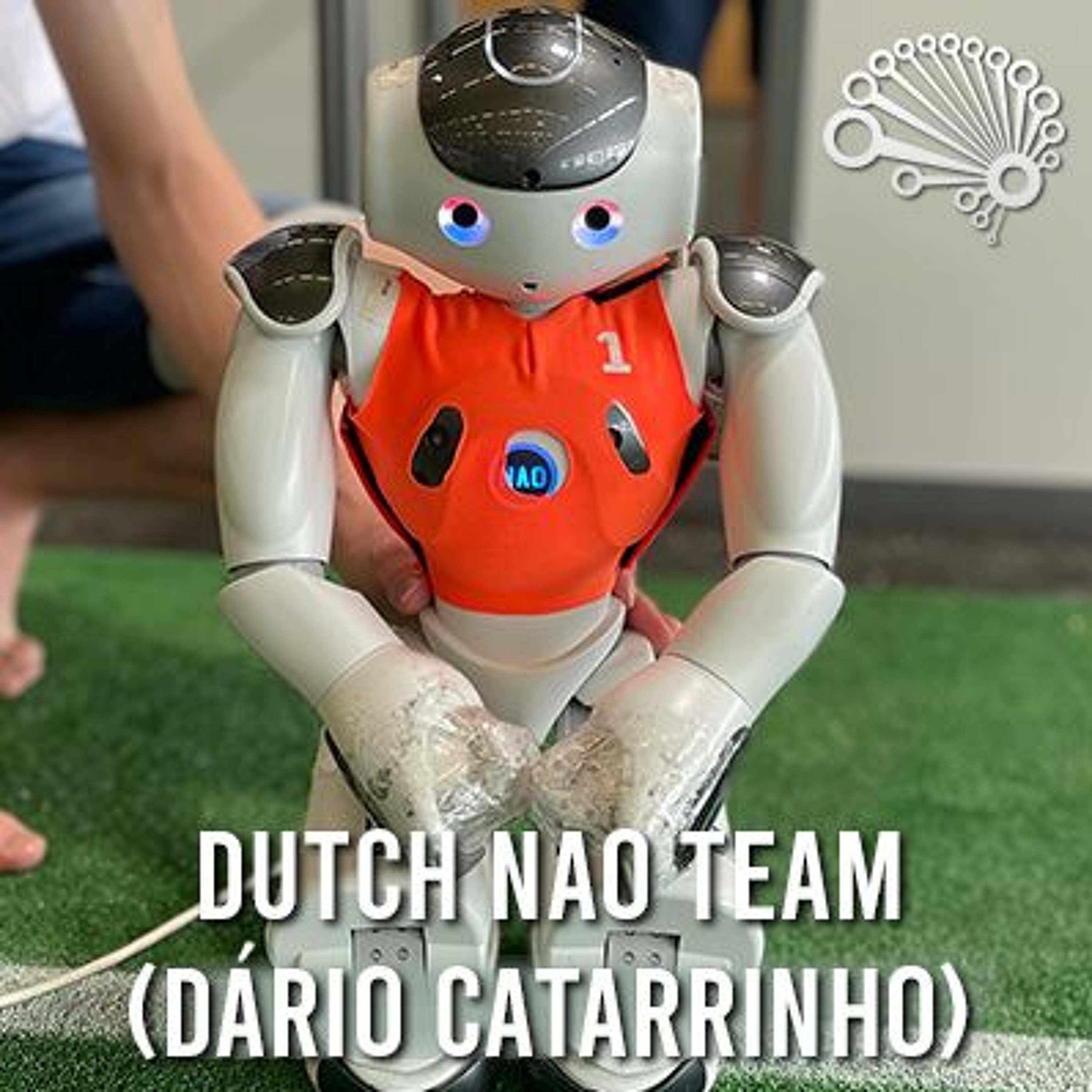 734: Humanoid Robot Soccer, with the Dutch RoboCup Team