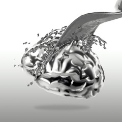 EMPATHY AND ENTROPY MIX 2024
