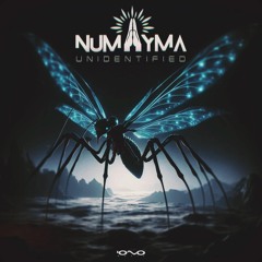 Numayma - Unidentified  (Original Mix)  OUT SOON ON IONO MUSIC 24 JUNE 🐝🎶