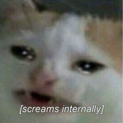 IM OK IM FINE