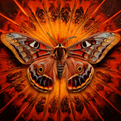trance
