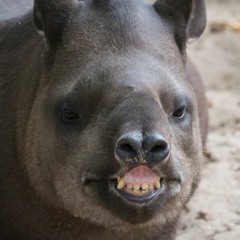 .̵̡̛̛͈̝̳̝͍̺̠̥̣̬̣̻̦̣̞̪͚̥̟̮̲̯̏͋͌̂͗́̾̅͝-̵̢̢̛̖̺̻̳̮͍̳̱̬̻͔͕̘̥̪̜̙̯͔̺̰̥̗̥̫̯̲̥̖͗̿͜͝ͅ