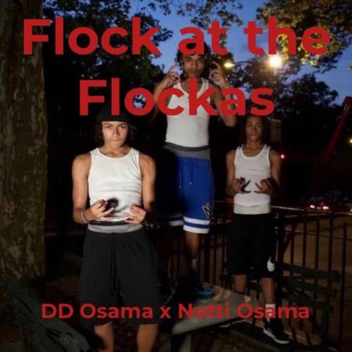 DD Osama X Notti Osama - Flock At The Flockas (Full Unreleased)