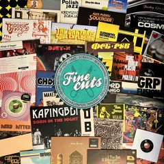 Fine Cuts Radio Paris Vinyl-Mix February 2025 - Nyboe