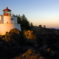 anything feat. QQ. prod me lol😂😂😂