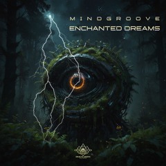01. Mindgroove - I See You (SC Preview)