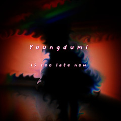 Is too late now (prod. Chillnrelax)