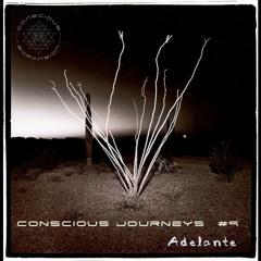 Conscious Journeys #9: Adelante