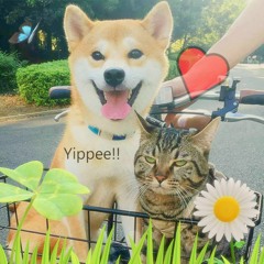 Its nice 2 hav u back!! :)