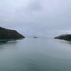 picton pulse - WIP - 0.6.3