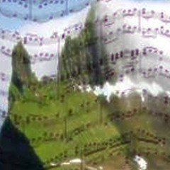 leccamisottolecasse x lica @COVER