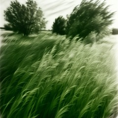 Ride Like the wind.m4a