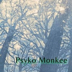Psyko Monkee - Entranced Forest 9 (March 2022)