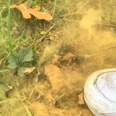 Orpheu The Wizard 311025