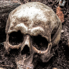 Bones - MiscellaneousMinerals (remix)
