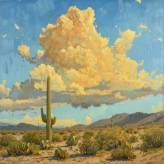 Desert Clouds