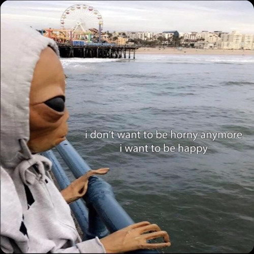the sadness in my smile-ekkstacy