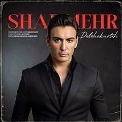Shadmehr Aghili - Delshekasteh