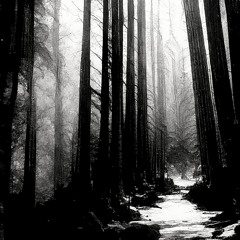 To the Trees (notes Remix)