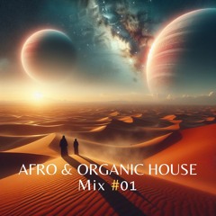 Afro & Organic House (2024 Mix) - Cafe de Anatolia style