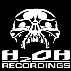 H2oH Recordings appreciation mix Part 1 (H2oH1 - H2oH20) - Vinyl only