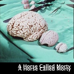 A Horse Called Morty