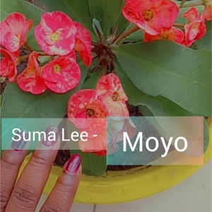Suma Lee - Moyo