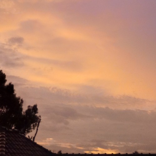 Stream Heat Waves Glass Animals X Highcloud Mashup. Tiktok by Rizky Nurhidayah Listen online